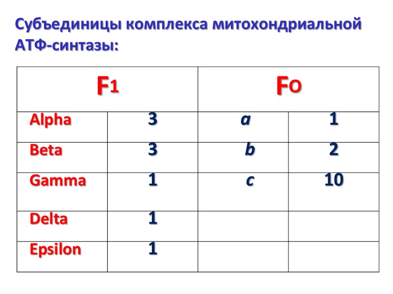 Субъединицы комплекса митохондриальной АТФ-синтазы: